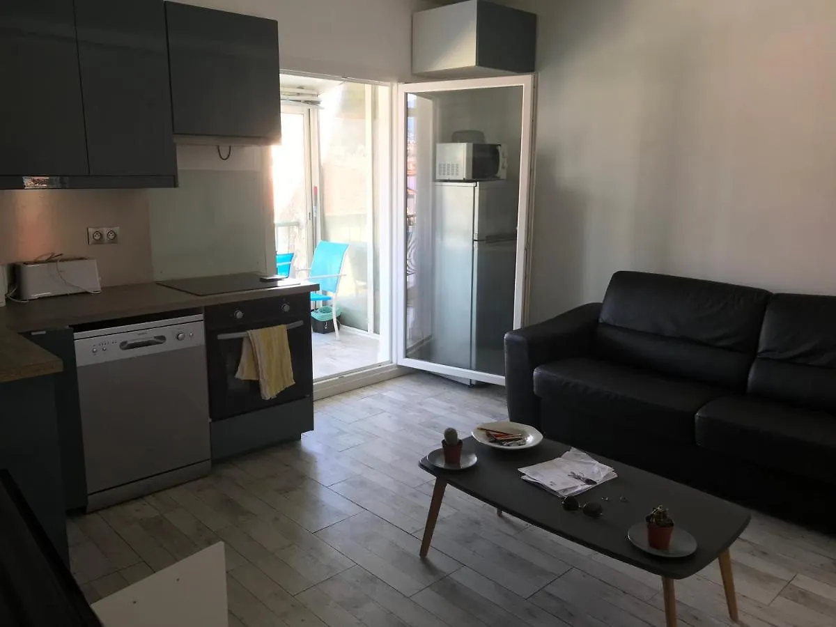 Apartment 4 A 6 Personnes Sur La Coulee Verte Hotel Nice